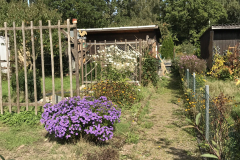 img_06042836156016479402259-scaled