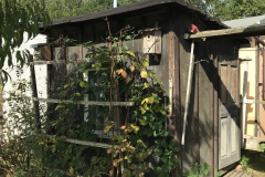 img_06126031780771627004061-scaled