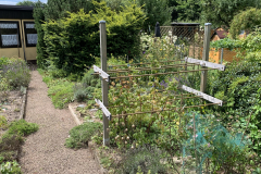 Garten 75/3