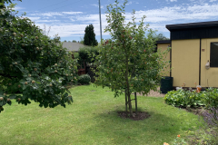 Garten 75/2