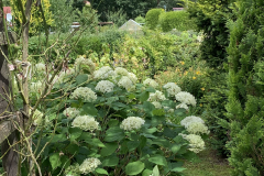 Garten 75/6