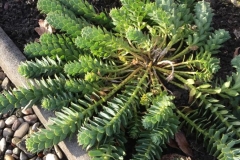 img-20200116-wa00006548572029890310663