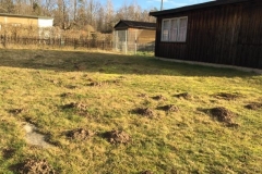 img-20200116-wa00022129456545119111091