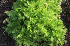 img-20200116-wa00045378917204334521242